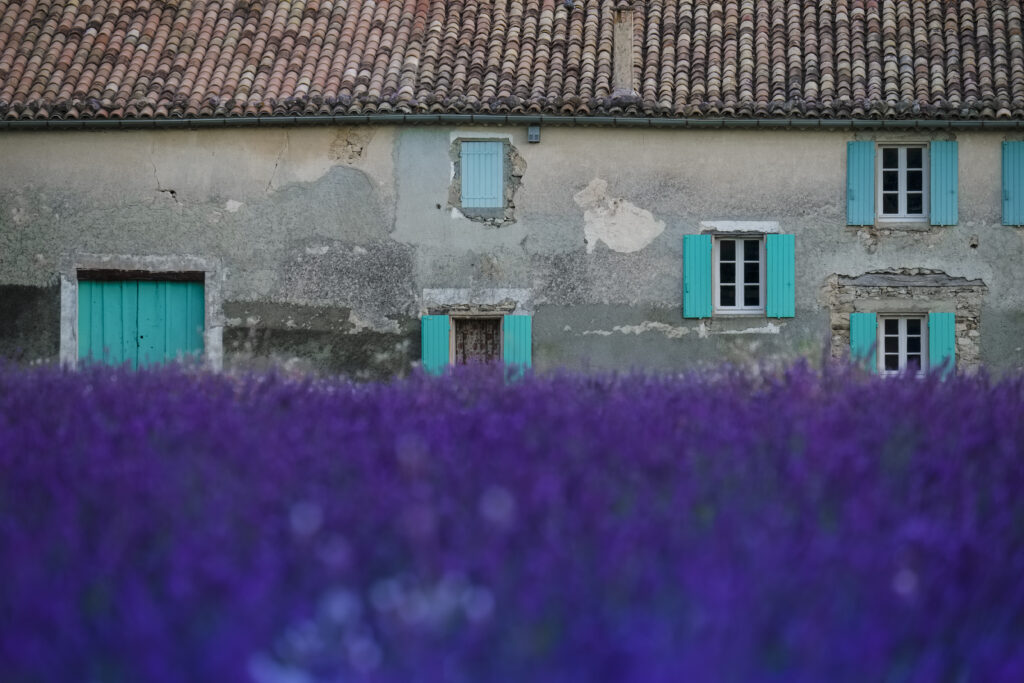 Provence photo workshop