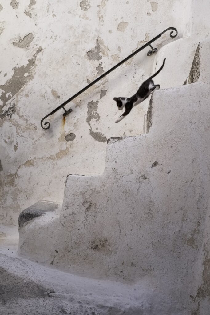 Photography tour in Plaka, Athens